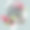 酷女孩：书法字体插画图片下载