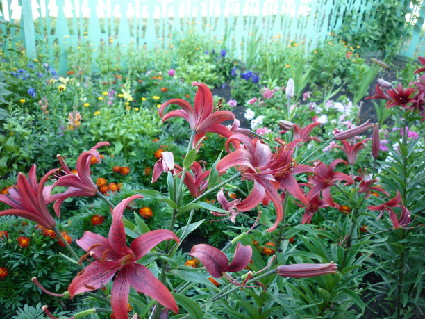 西伯利亚的颜色图片下载