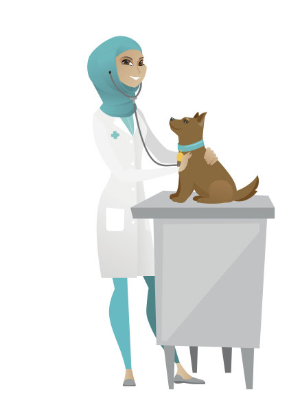 兽医检查狗病媒说明图片下载
