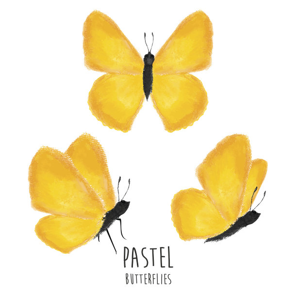 柔和的蝴蝶图片下载