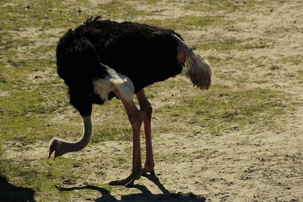 斯达姆湖图片下载