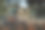 战争照片素材ID：307437858