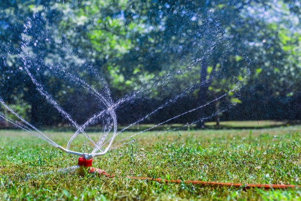 在夏季花园与洒水器草坪背景图片下载