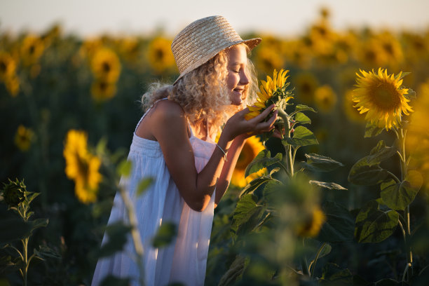 快乐漂亮的女孩在白色的连衣裙有乐趣在黄色的向日葵的田野图片下载