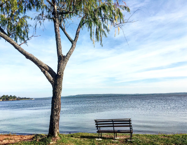 南方的冬天图片下载