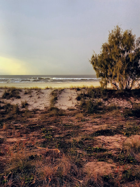 库兰加塔海滩，澳大利亚黄金海岸图片下载