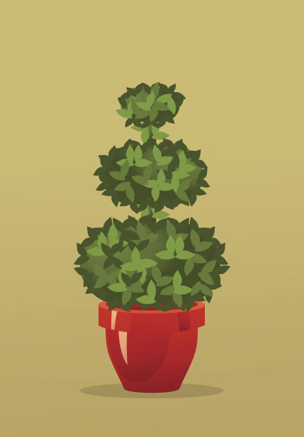 花盆里的树图片下载