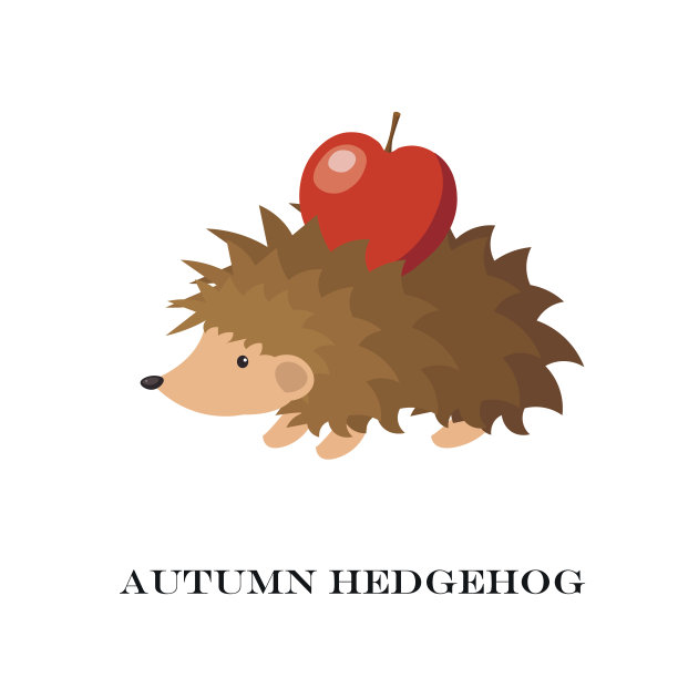 矢量插图的可爱的刺猬孤立在白色的背景。图片下载