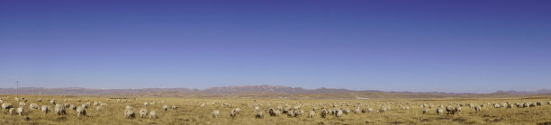 秋天的中国大草原全景图片下载