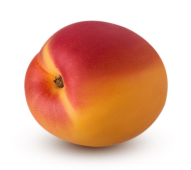 新鲜成熟的杏图片下载