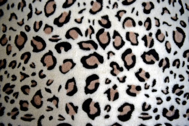 豹纹图案图片下载