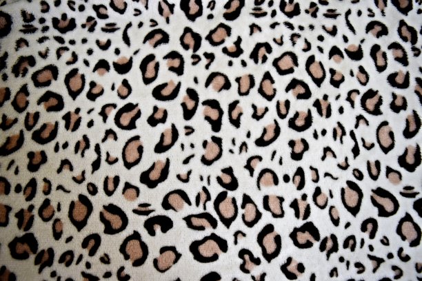 豹纹图案图片下载