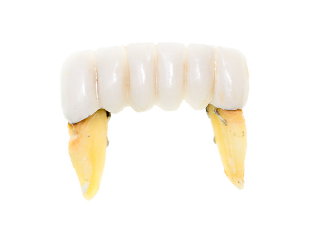 白色背景上的旧牙图片下载