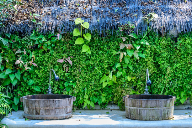 木制水槽和水龙头，日本风格的热带花园图片下载