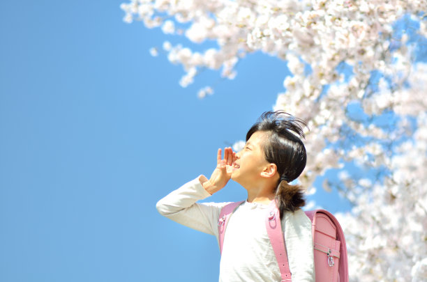 女孩和樱桃树图片下载