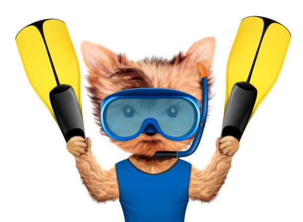 滑稽的动物在潜水面具拿着脚蹼图片下载