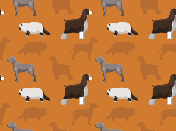 狗猫壁纸7图片下载