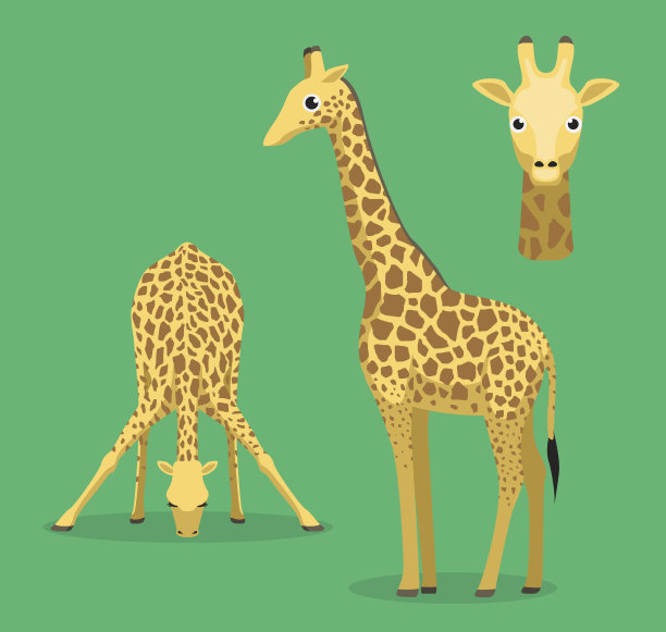 可爱的长颈鹿喝水卡通矢量插图素材图片