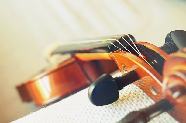 一把小提琴从上面拍下白色的自格子背景图片下载