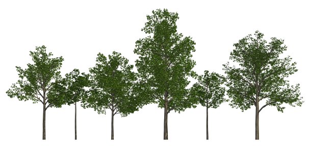 一组树孤立的白色3d插图图片下载