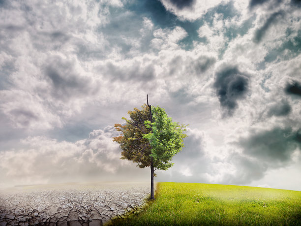 生态景观图片下载