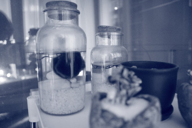 瓶子在房子图片下载