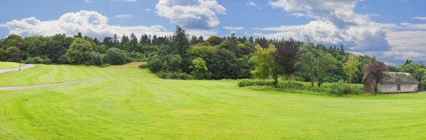 有草地、树木和多云天空的爱尔兰风景-(爱尔兰)图片下载