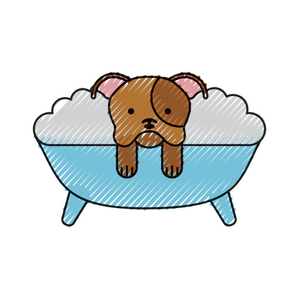 可爱的狗在浴缸洗澡图片下载