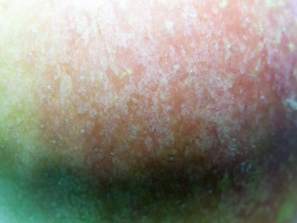 苹果纹理近绿色和红色宏图片下载