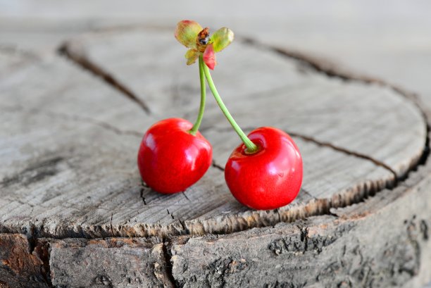 两颗新鲜的红樱桃孤立在一个古老的木制背景上，空白的地方用于文字。特写镜头图片下载