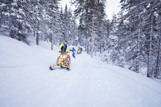 冬季极限团体运动在针叶林。图片下载