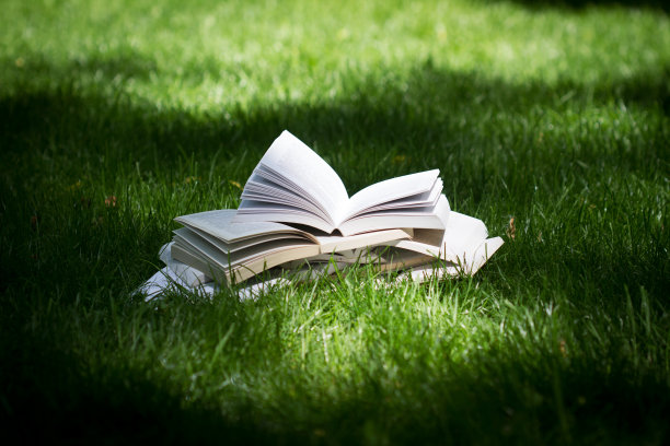 在绿色公园的草地上看书图片下载