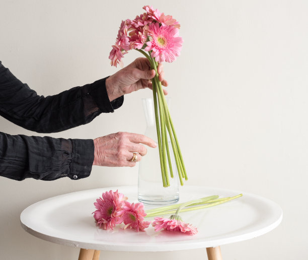 女人的手插花图片下载