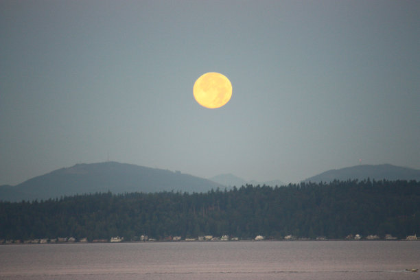 西雅图月落图片下载