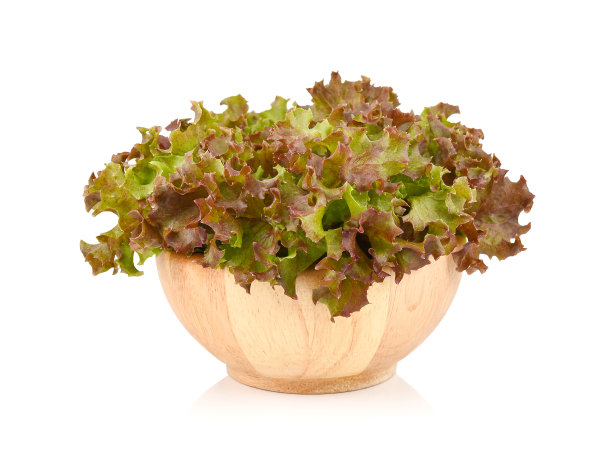 红色珊瑚沙拉孤立在白色的背景上图片下载