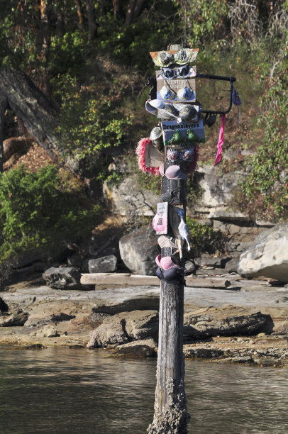 纳奈莫的龙舟队胸罩树传统图片下载