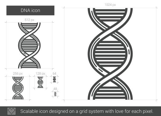 DNA线性图标图片下载