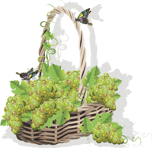 带葡萄的柳条篮子图片下载