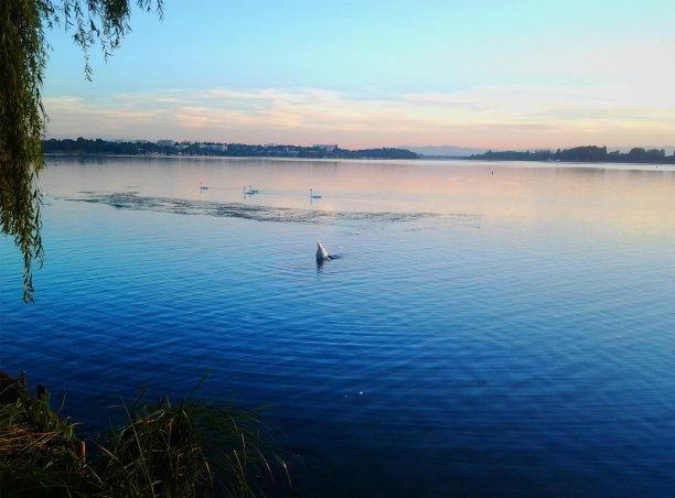 晚上湖图片下载