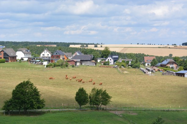 在德国的艾菲尔有奶牛和房子图片下载