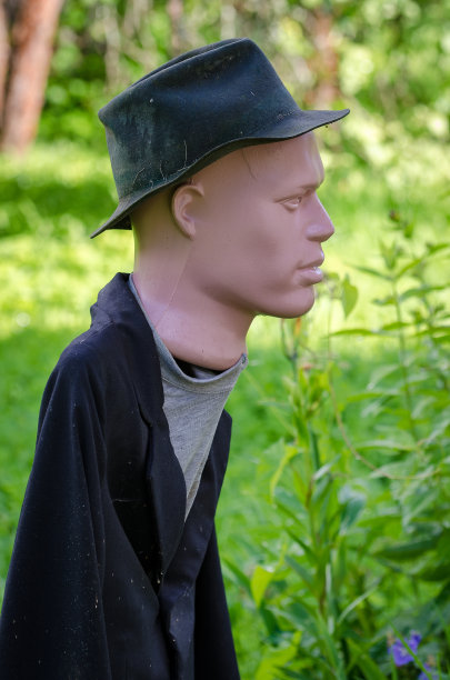 花园里的稻草人图片下载