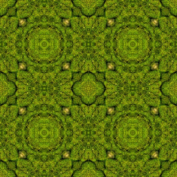 摘要装饰青苔背景。无缝模式。图片下载