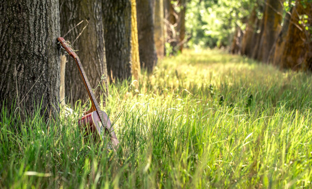 吉他在自然界中图片下载