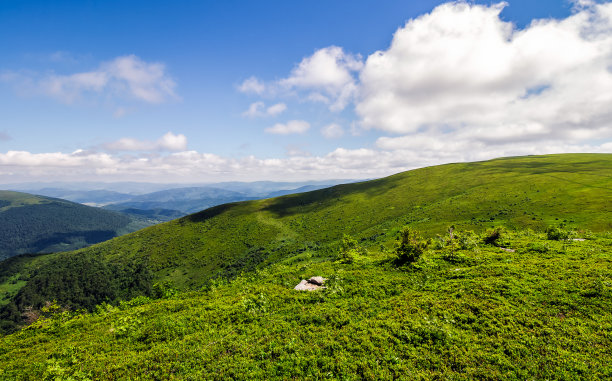 夏日山坡草地素材图片