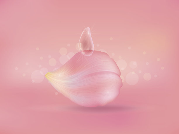 玫瑰花瓣图片下载