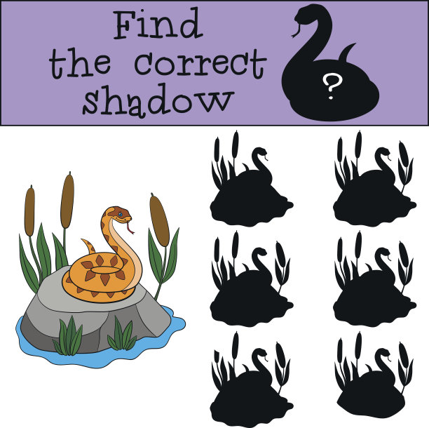 教育游戏:找到正确的影子。小可爱的毒蛇。图片下载