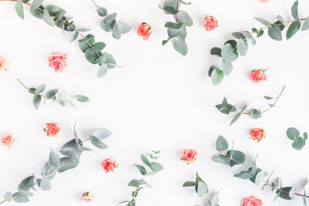 玫瑰花和桉树枝。平躺，俯视图图片下载