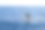 海钓照片素材专题