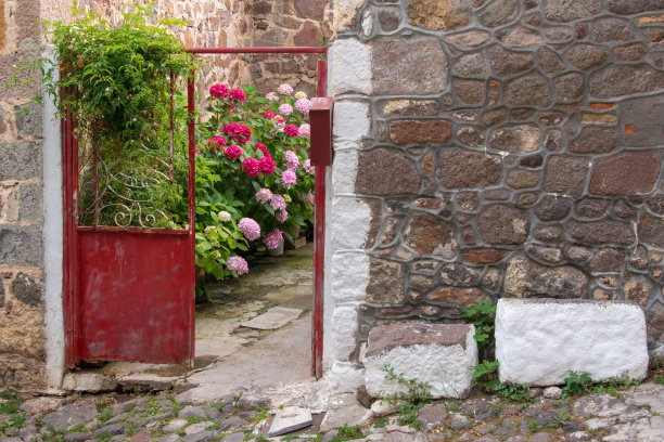 盛开着粉红色和红色的绣球花素材图片