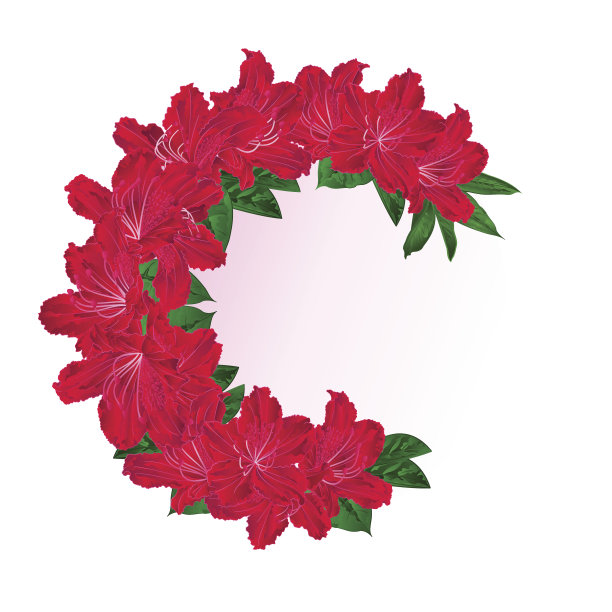 节日框架花束红色杜鹃花复古设计矢量植物插图图片下载